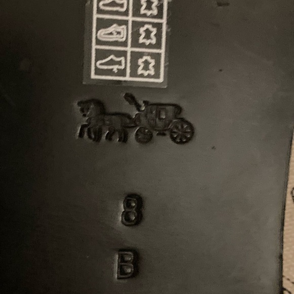 COACH Women's Elaine Metallic Gray Pebble Leather Flat Sandal Size 8. EUC - Picture 5 of 10